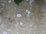 image of grave number 366009